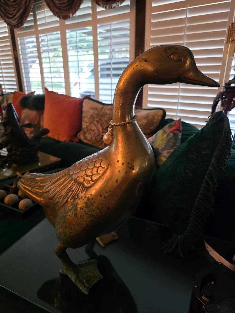 Exquisite treasures galore of Glenbrook Valley photo 6
