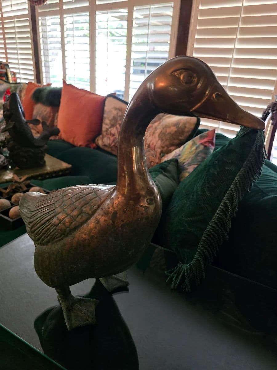 Exquisite treasures galore of Glenbrook Valley photo 7