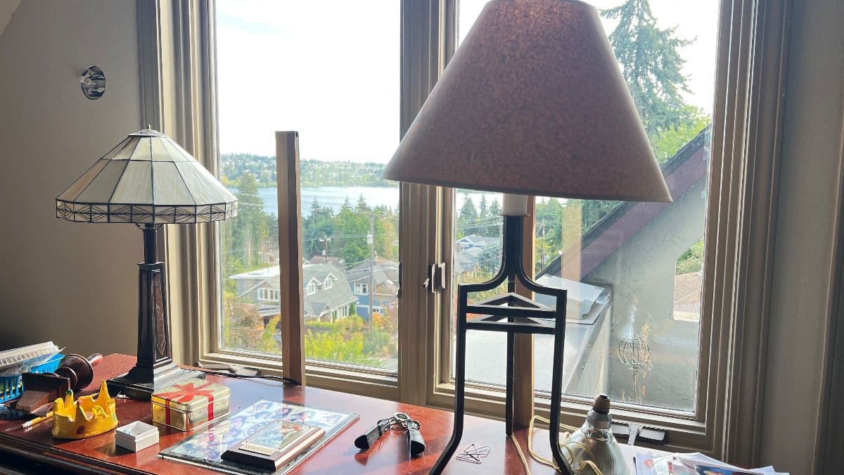 VAN ERP ~ Full Estate Sale near Greenlake photo 12