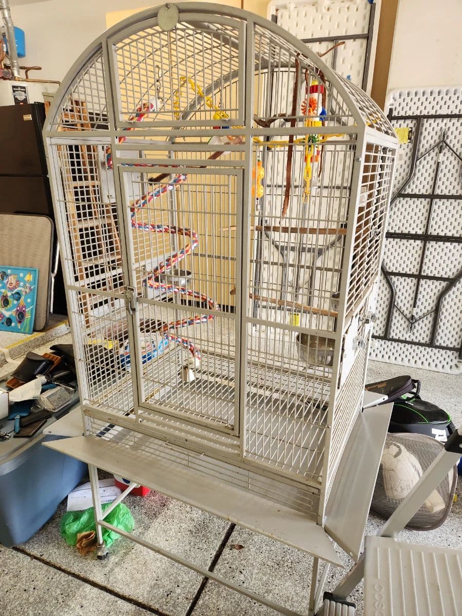 That Gal Estate Sales and Service photo 7