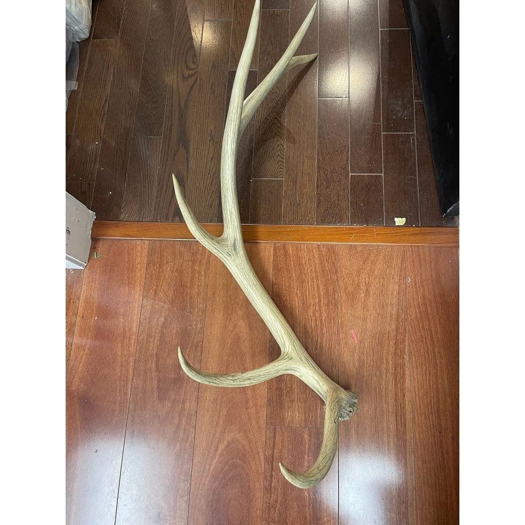 Cabela’s, Orvis, Fishing Tackle, Hunting Gear, Case Knife & Outdoor Sportsman Auction photo 2