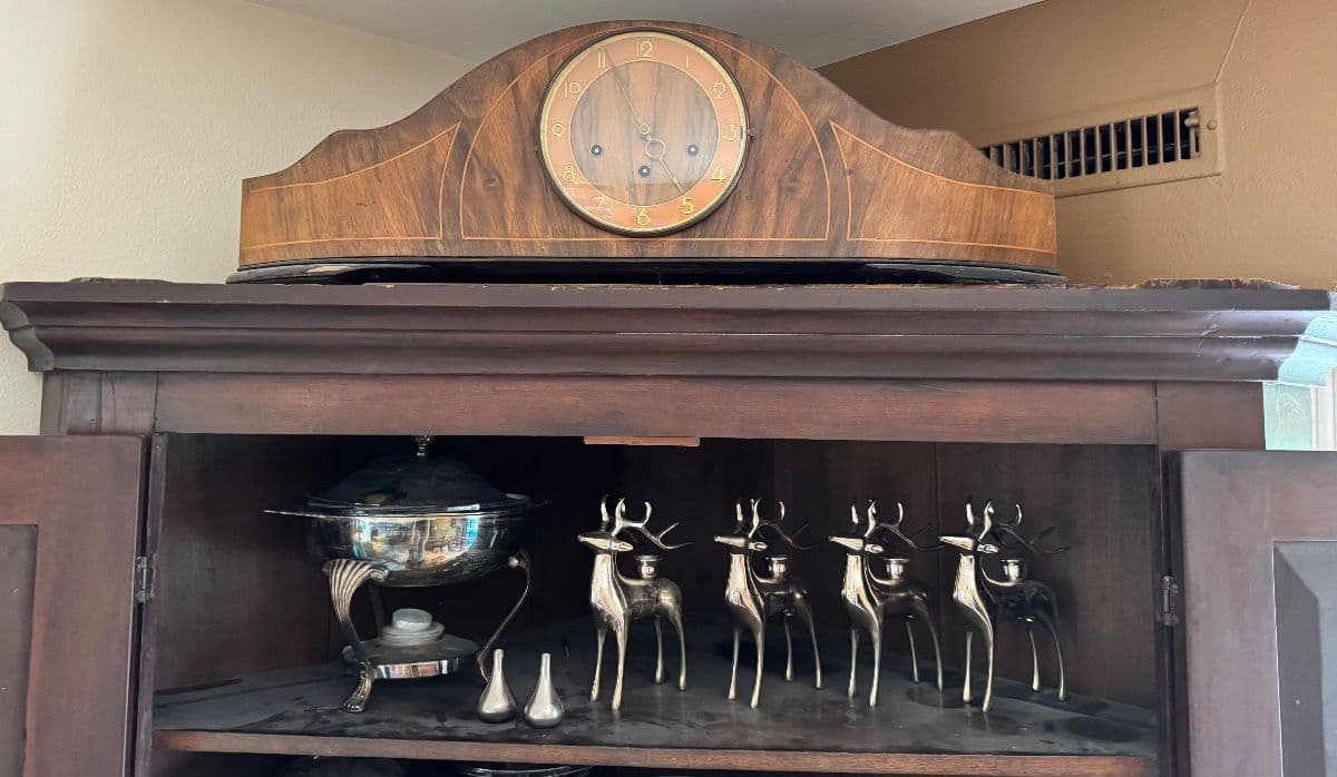 Cherished Treasures in Cheesman Park photo 2