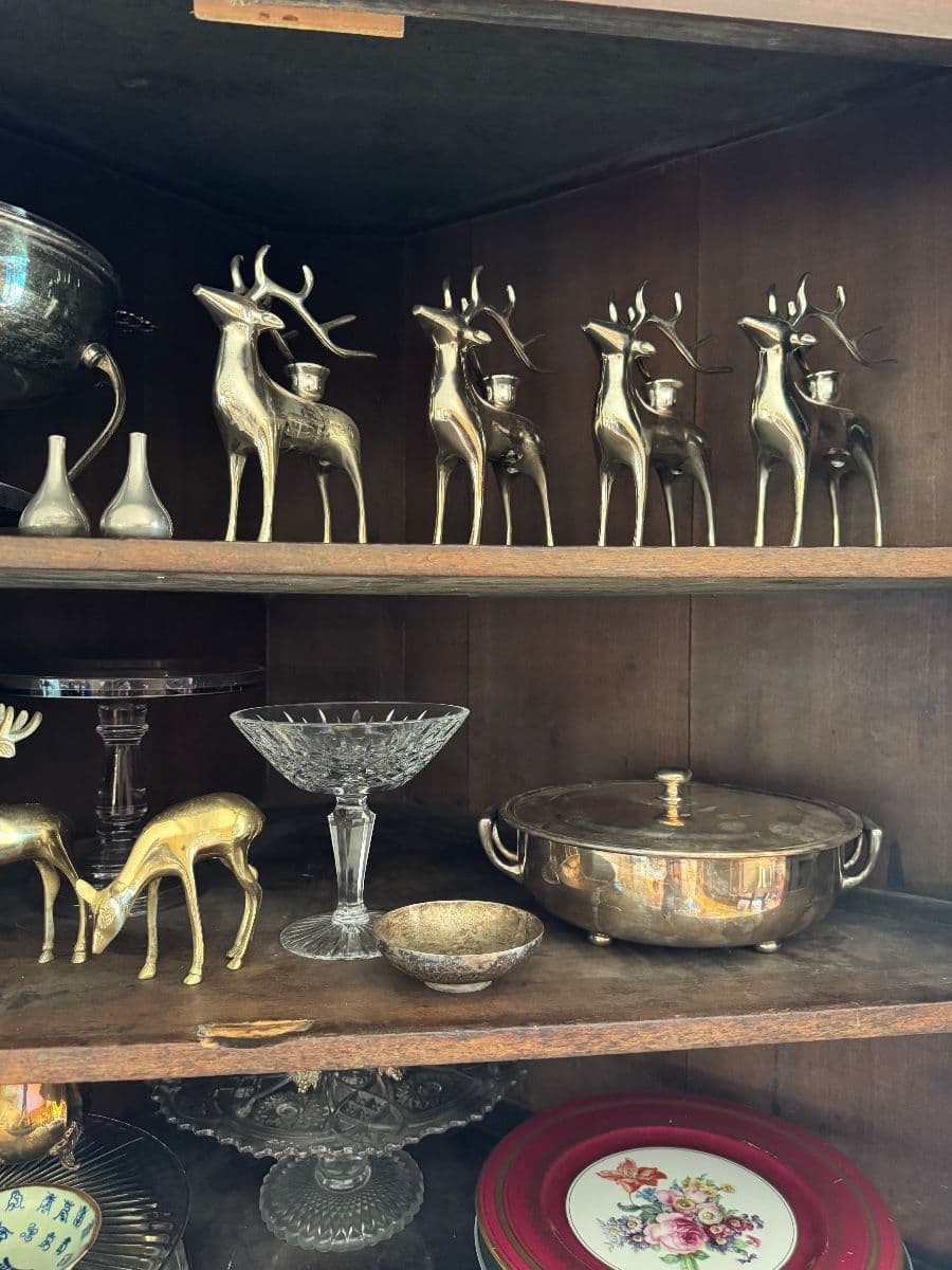 Cherished Treasures in Cheesman Park photo 3