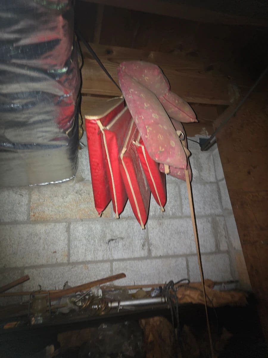 Treasures in Toccoa photo 1