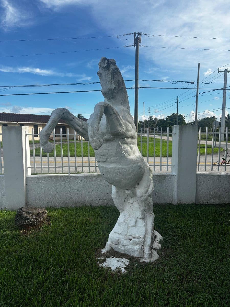 Coral Way Curated Collection photo 3