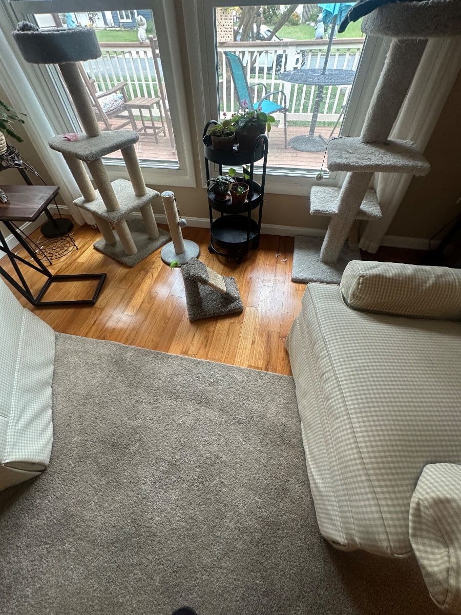 Estate sale photo 11