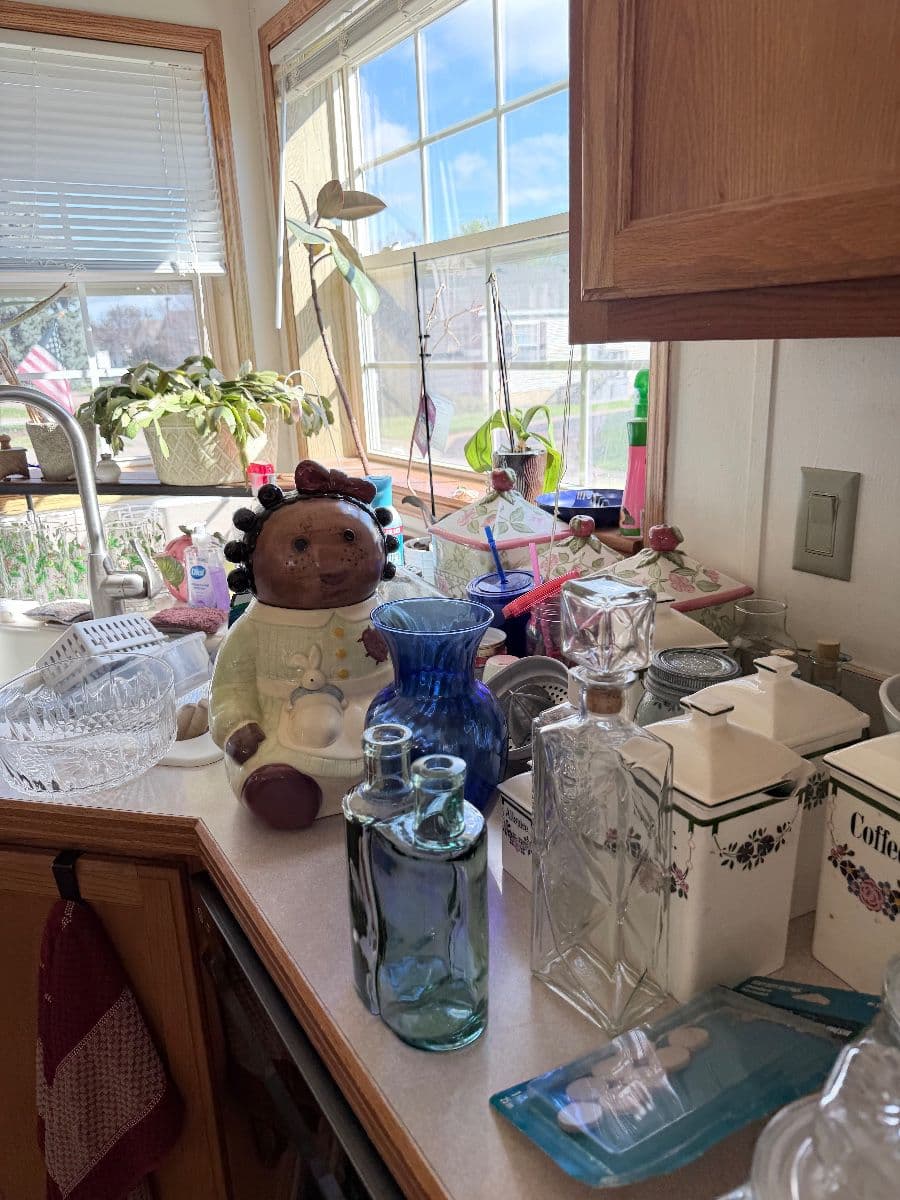 Macomb Sale Full of Surprises photo 3