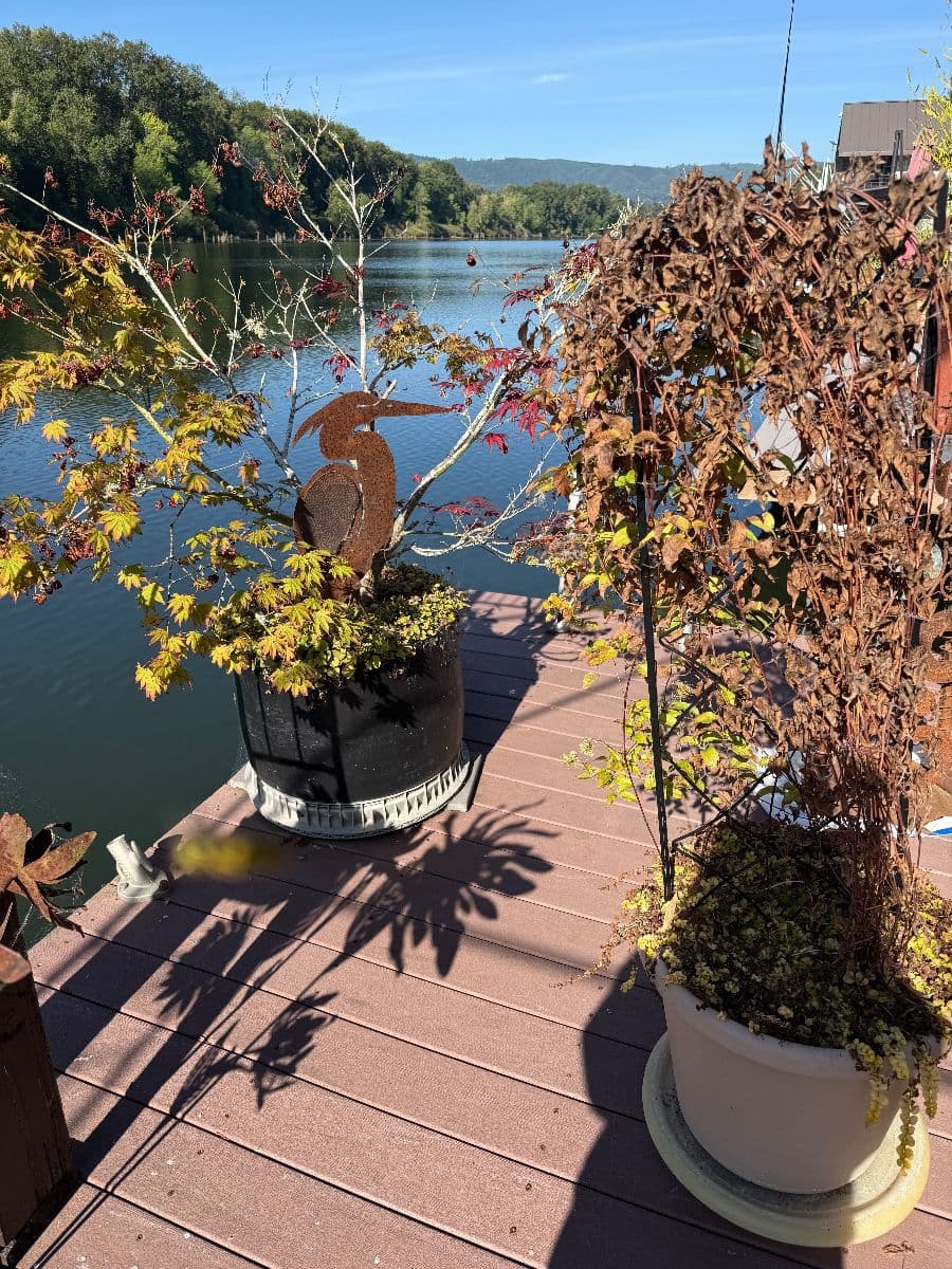 The Rusty Trunk LLC opens to "Floatin' & Findin" Estate Sale photo 1