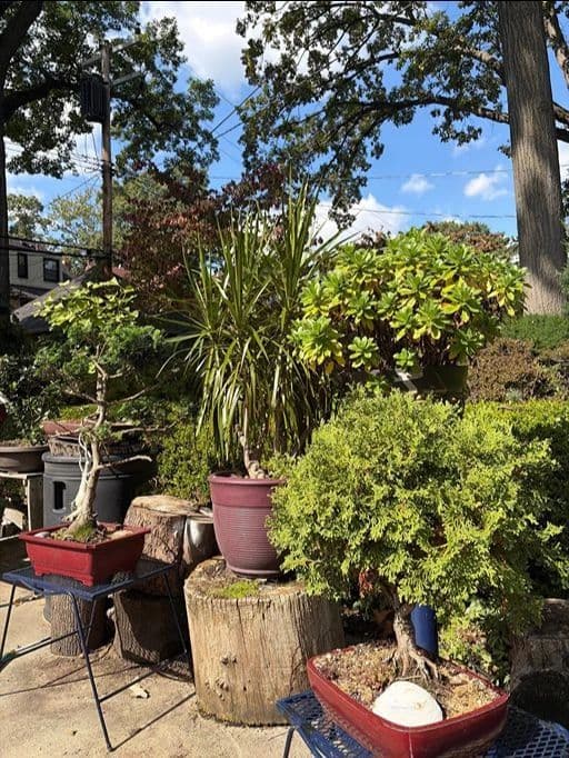 Detroit Estate Sale photo 5
