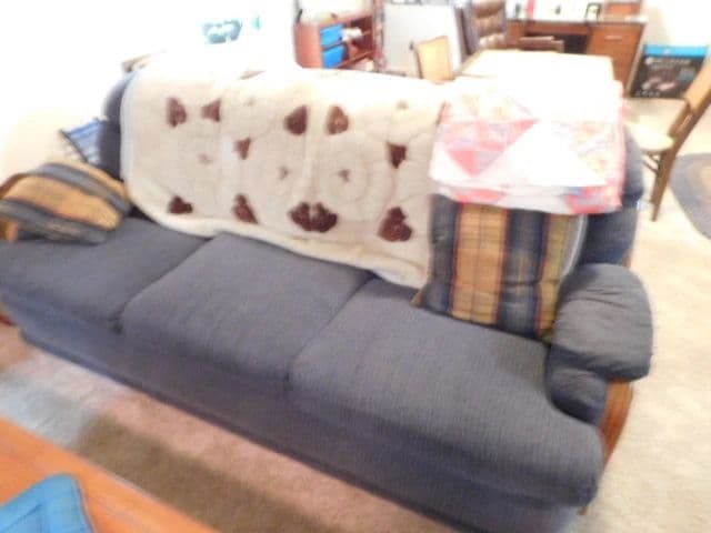 Eclectic Lakewood Estate Sale photo 6
