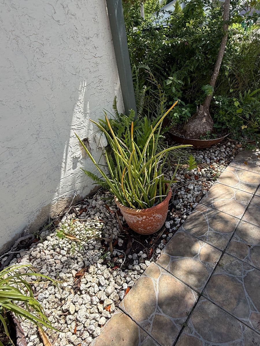CROSSINGS - KENDALL - PLANTS, APPLIANCES photo 9