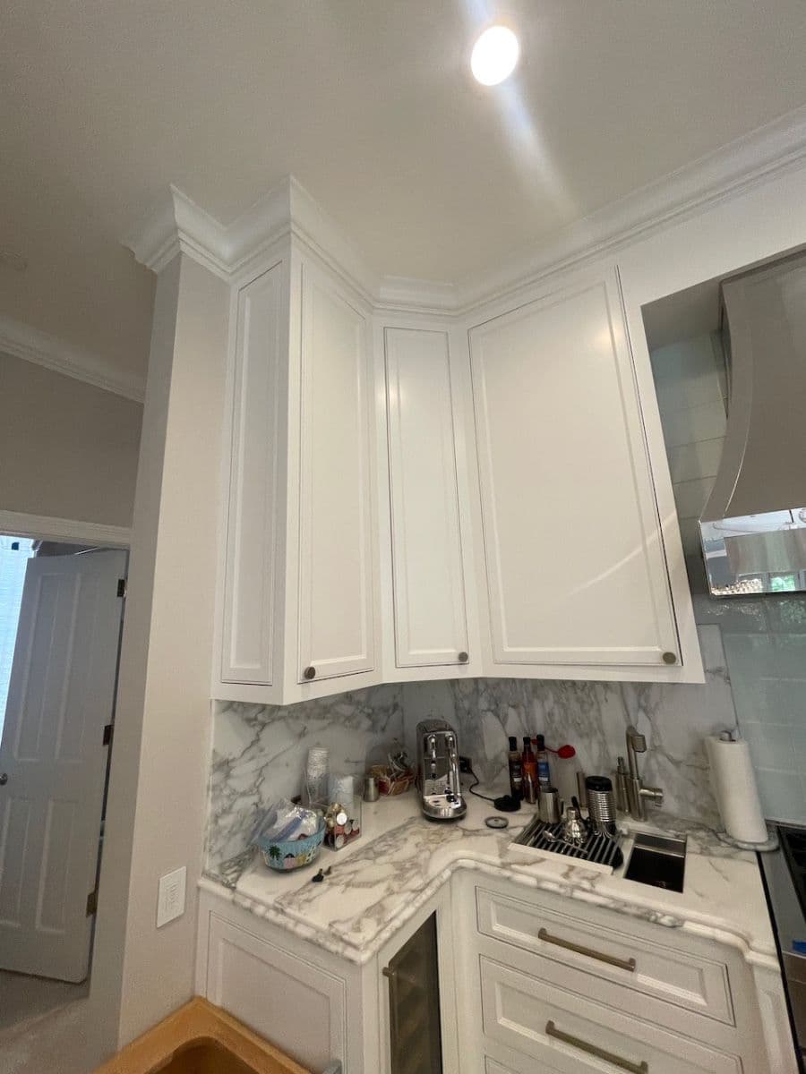 Chicago Lincoln Park Luxury Home Renovation Sale photo 9