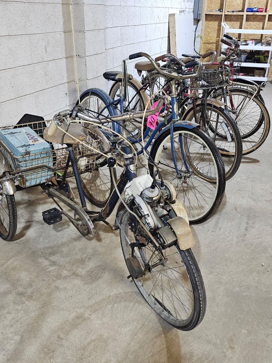 ANNUAL COUNTRY STORE AUCTION photo 8