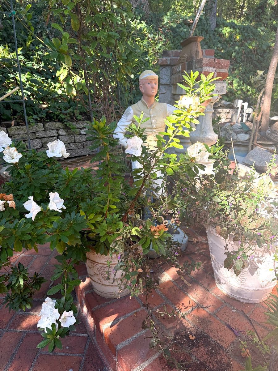 European Elegance in Tarzana, Hosted by Grasons photo 10