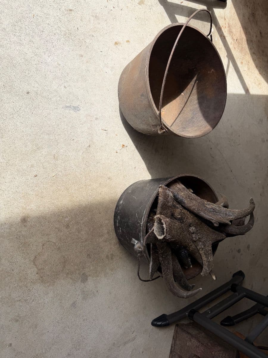AMAZING COLLECTOR ESTATE SALE FROM WYOMING photo 3