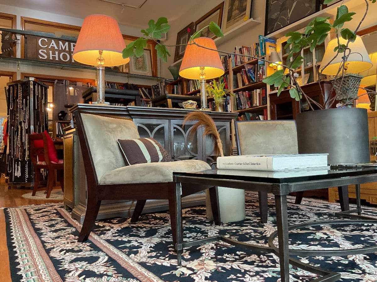 Mid-Century Modern Marvel photo 1