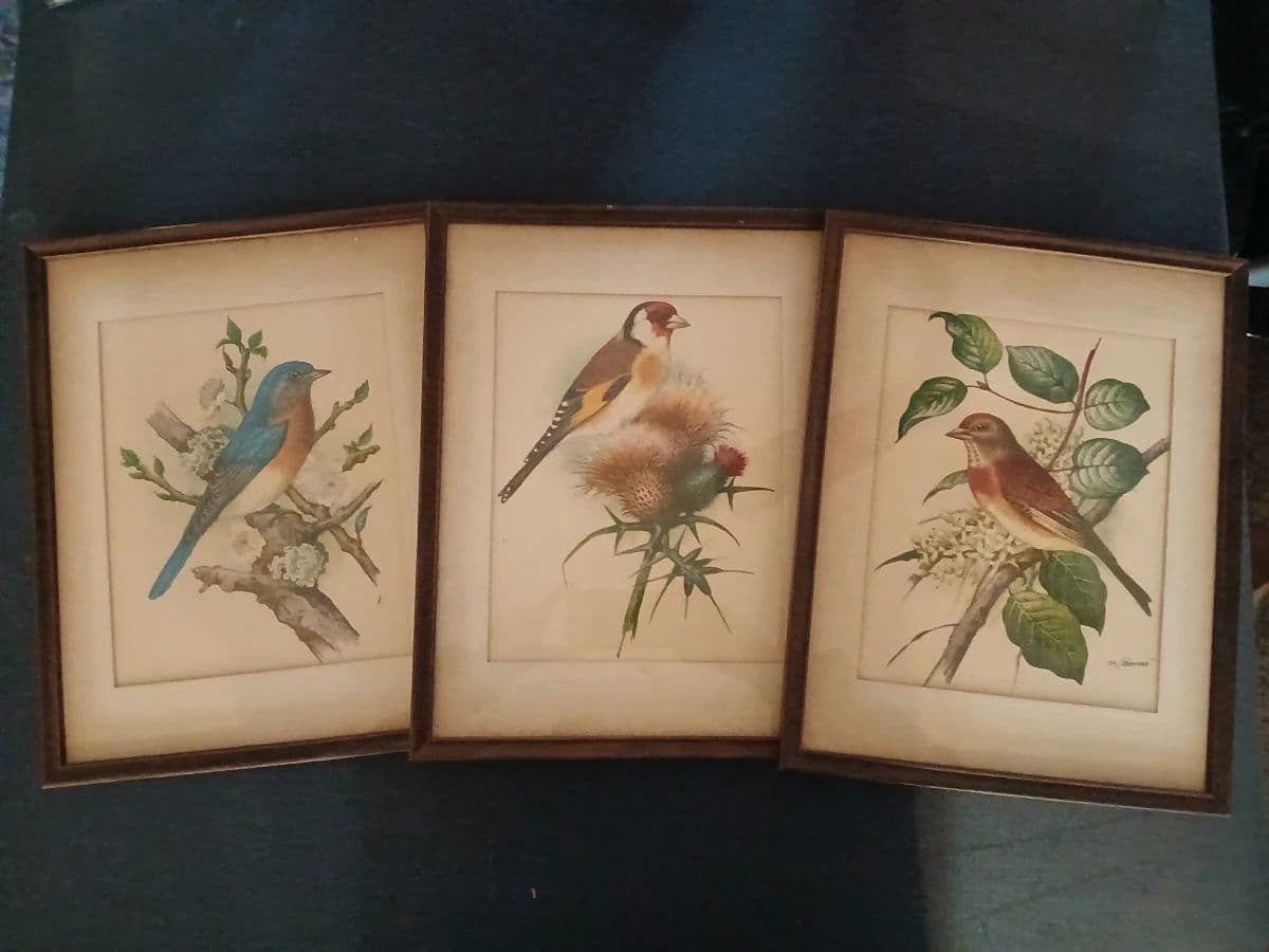 Estate Sale photo 4