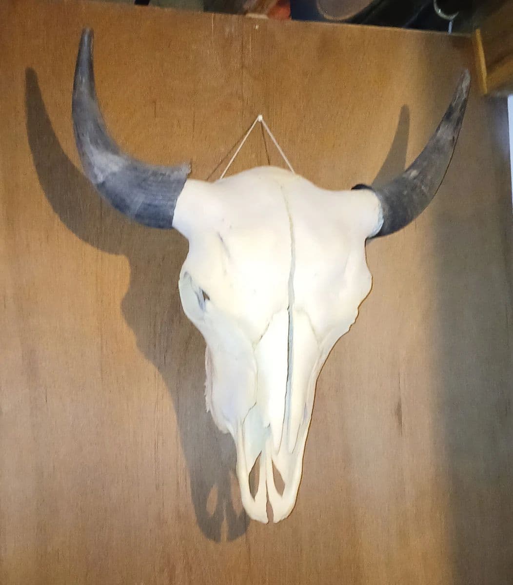 Estate Sale photo 6