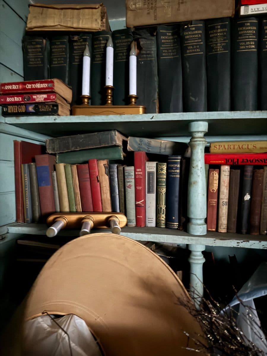 Hoarder Estate Sale In Brooklyn NY By Certified Estate Specialists photo 1