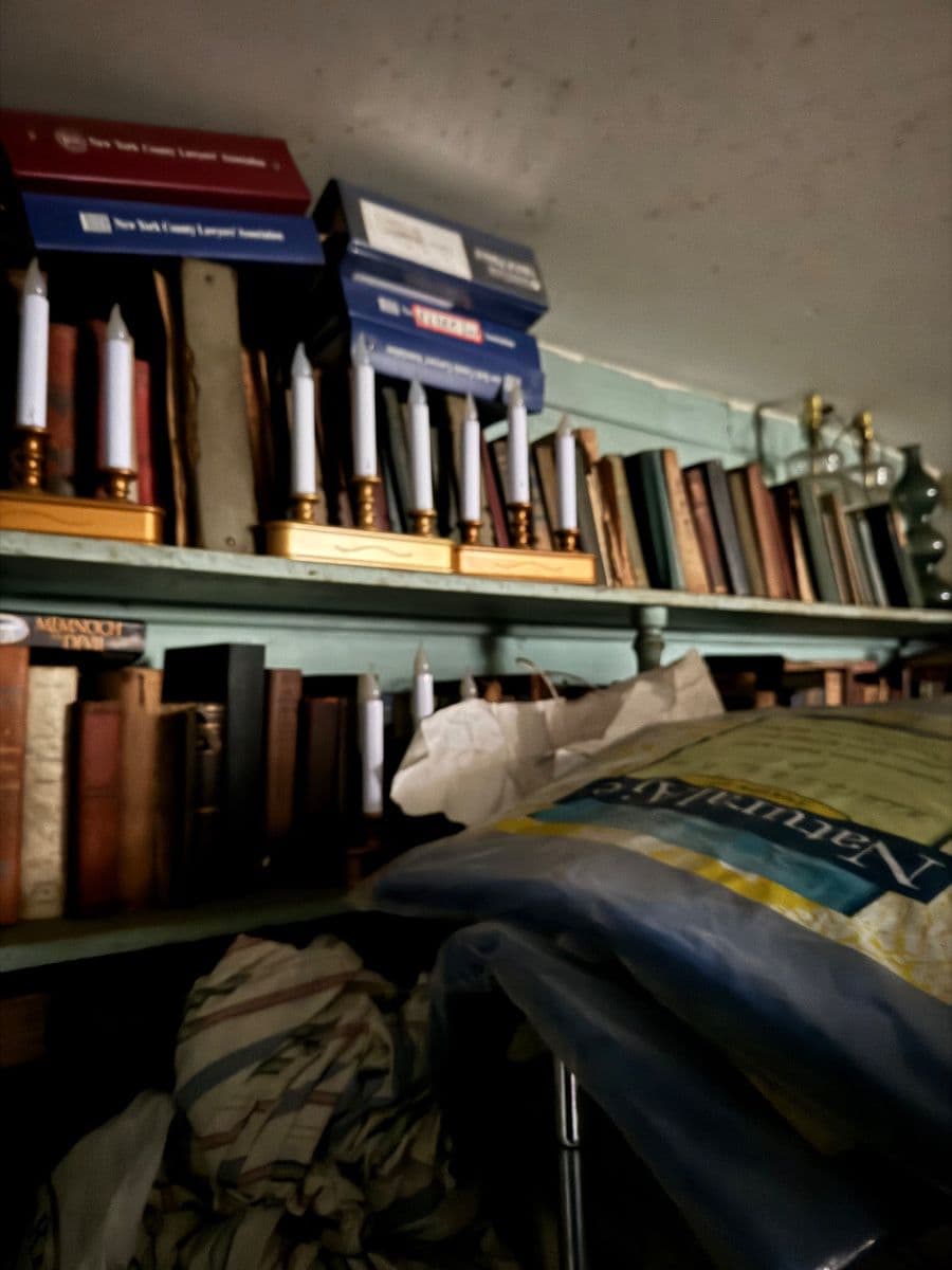 Hoarder Estate Sale In Brooklyn NY By Certified Estate Specialists photo 2