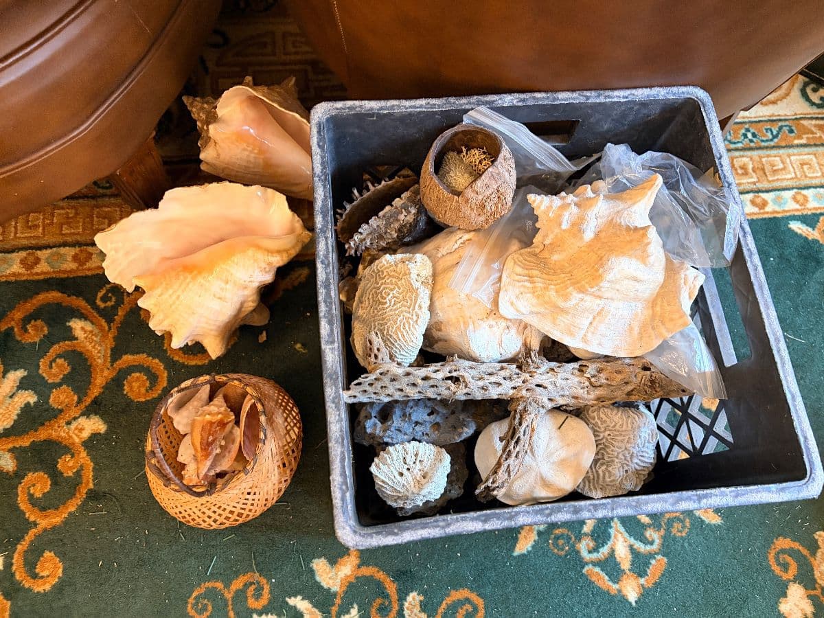 Tenleytown Estate Sale Pickers Delight photo 11