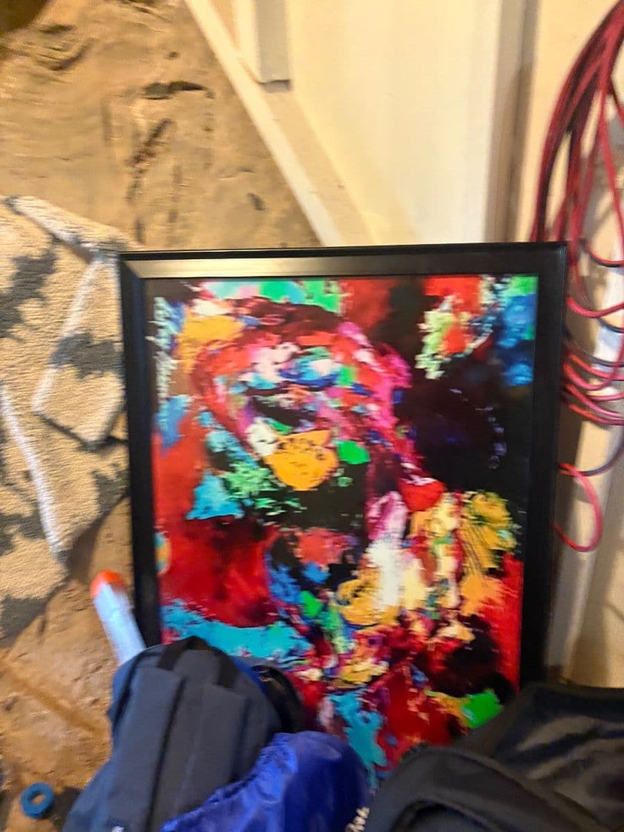 Estate sale everything must go even the home with a 2.5% assumable loan photo 11