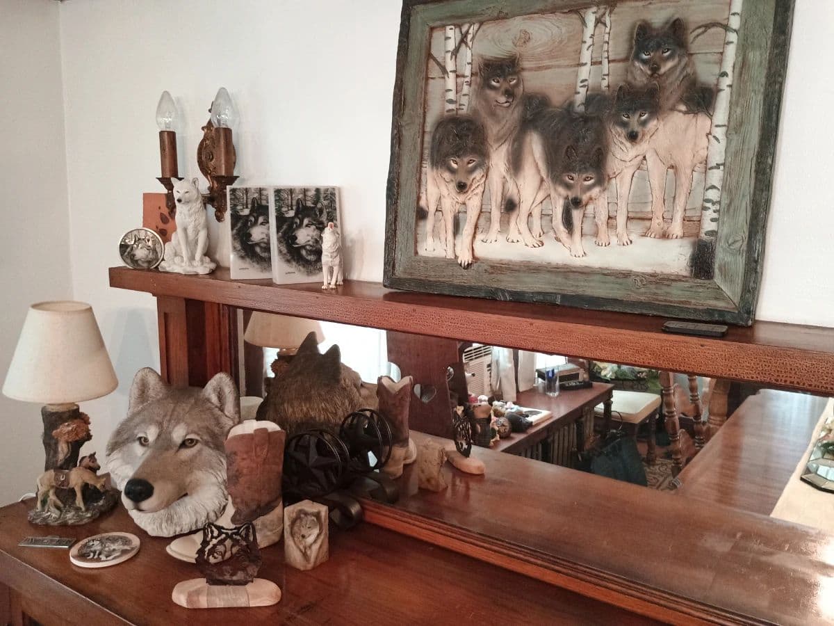 Chicago Cragin Northwoods Decor Halloween Decor Lots of Fun Stuff photo 9