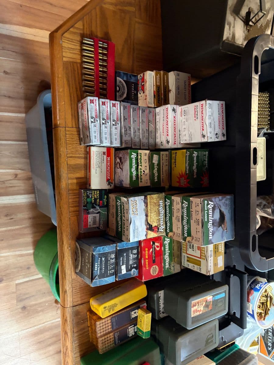 Dig Detroit: Ammo, Firearms, Tools, mopeds and more! photo 10