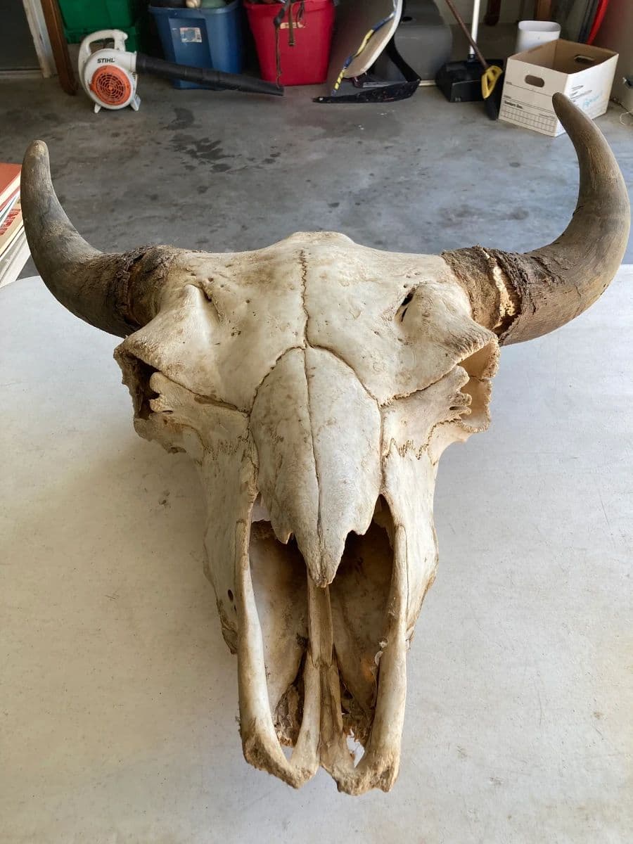 HUGE ESTATE SALE PICKERS PARADISE photo 1