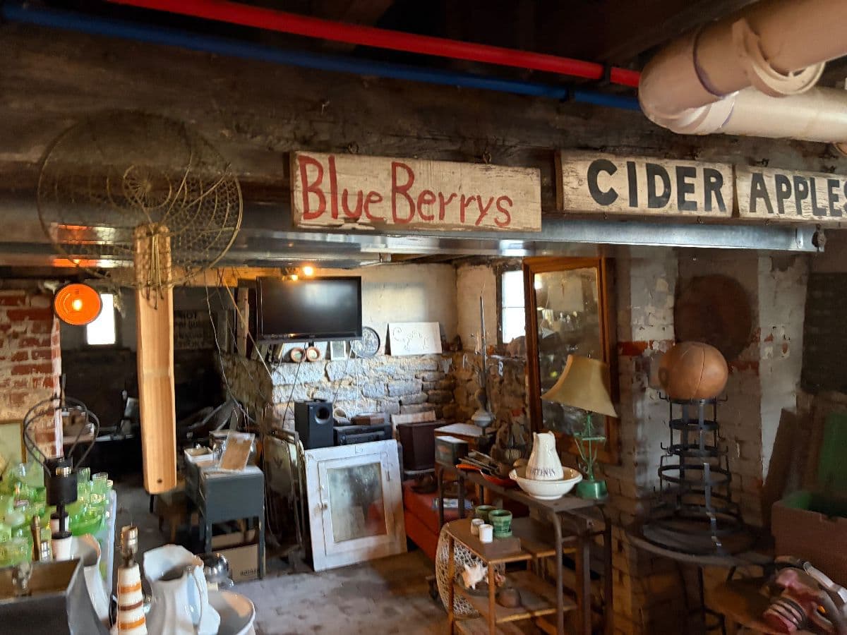 Dig Detroit: Corktown, Uranium glass, Antiques, Signs, Art and more photo 4