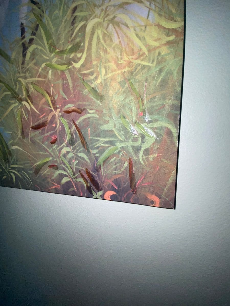 Tarpon Springs Estate Sale photo 11