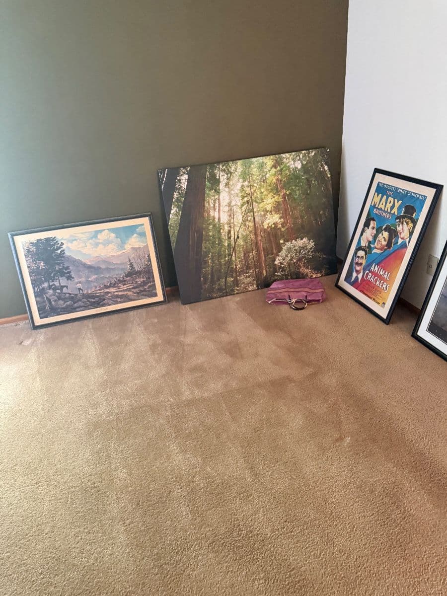 50% everything photo 7