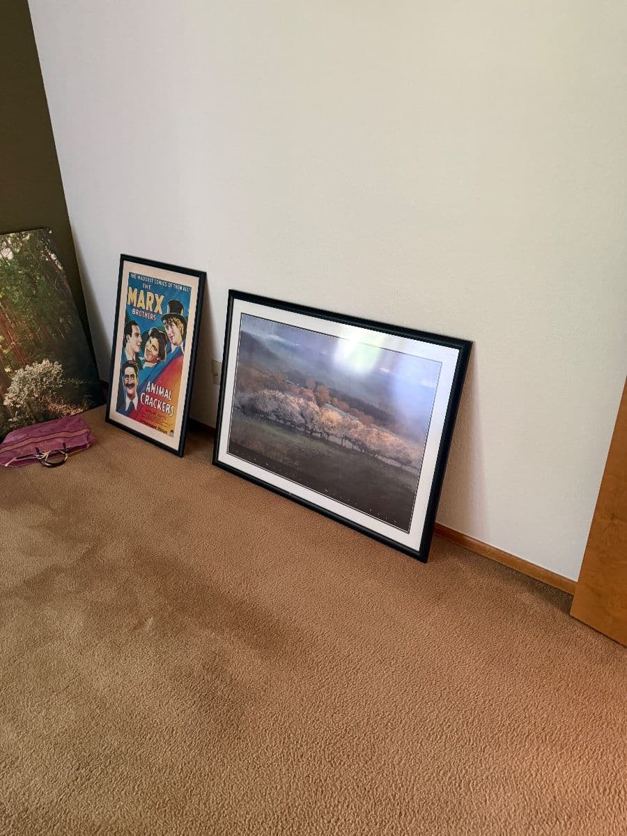 50% everything photo 9