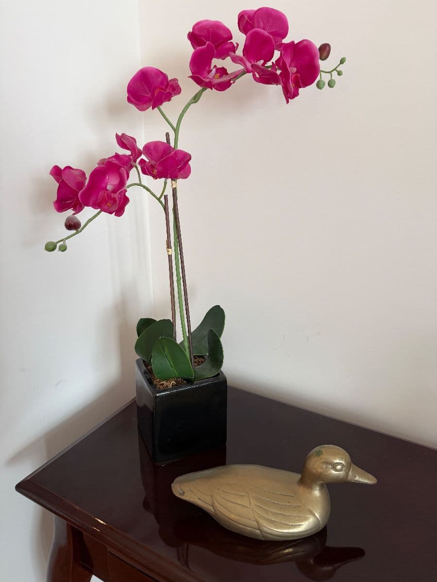 "Something For Everyone" Sale by Cardinal Lane photo 10