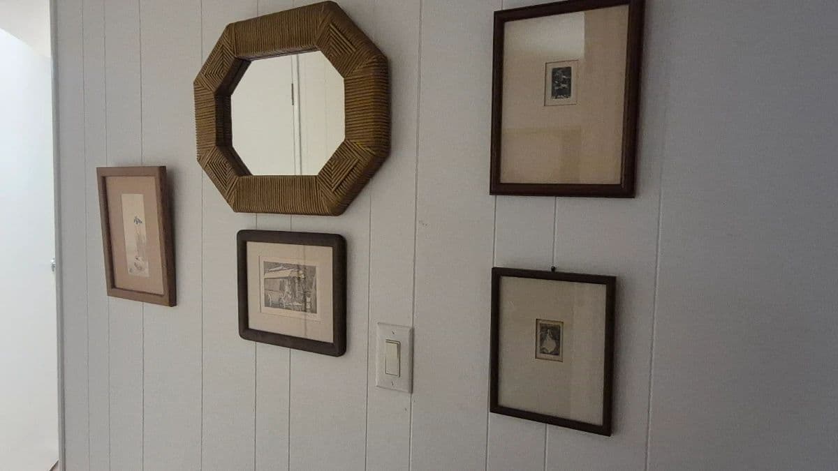 Ventura Estate Sale Uranium Glass, Kitty Botke, Plants and more! photo 3