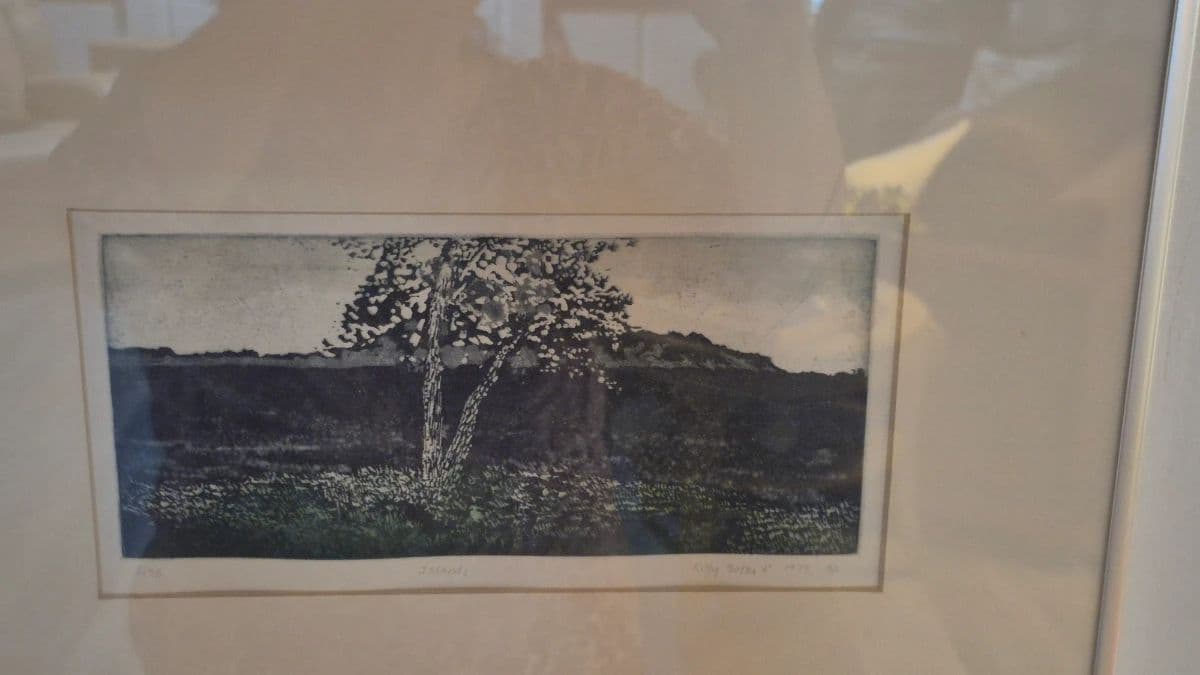 Ventura Estate Sale Uranium Glass, Kitty Botke, Plants and more! photo 9