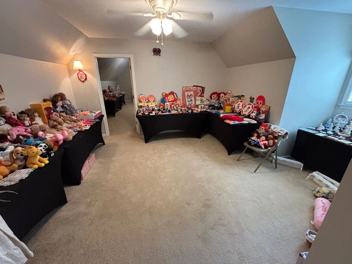 Packed Franklin Estate Sale: Christmas, Collectibles and More! photo 10