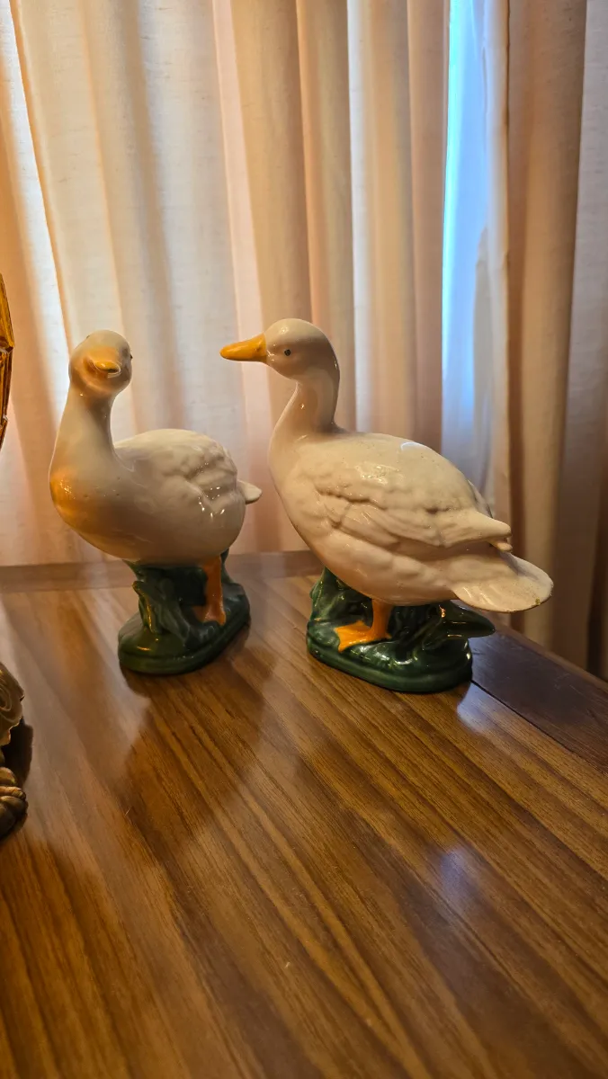 50% OFF SUNDAY RADIANT ROSEMONT ESTATE SALE photo 1