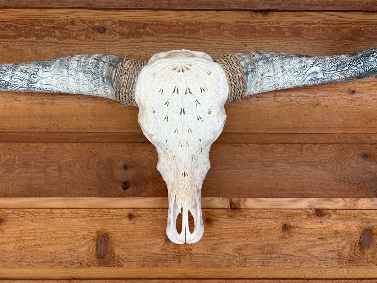 Blue Moon Estate Sale in Bouldin Creek photo 3