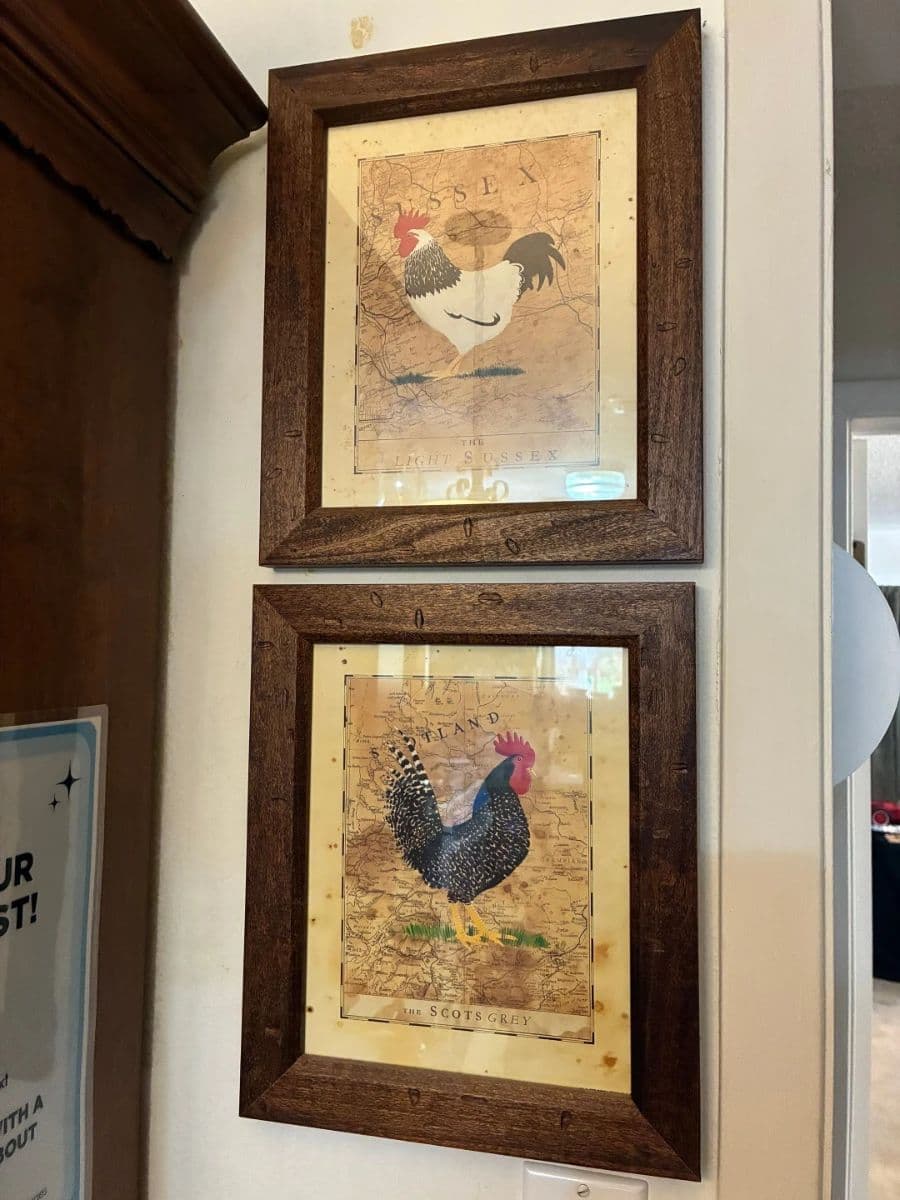 Blue Moon Estate Sale in Quail Creek with vintage decor, dolls, pottery, dinnerware and more! photo 12
