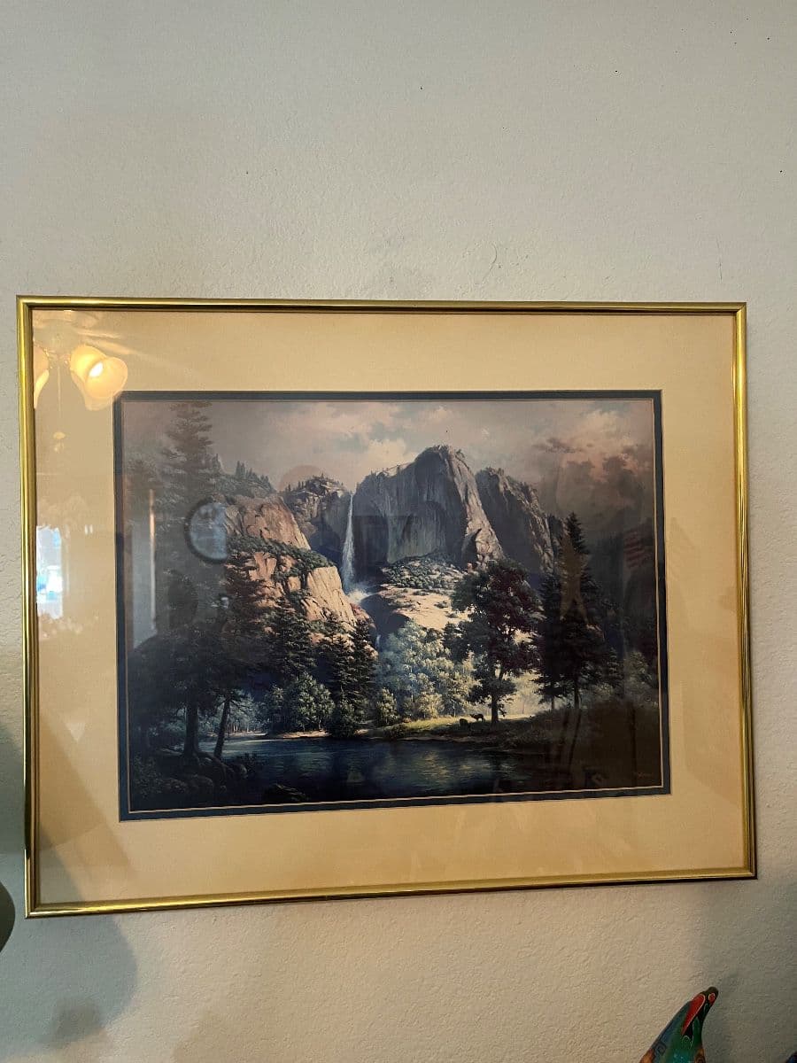 True Legacy Estate Sales photo 12