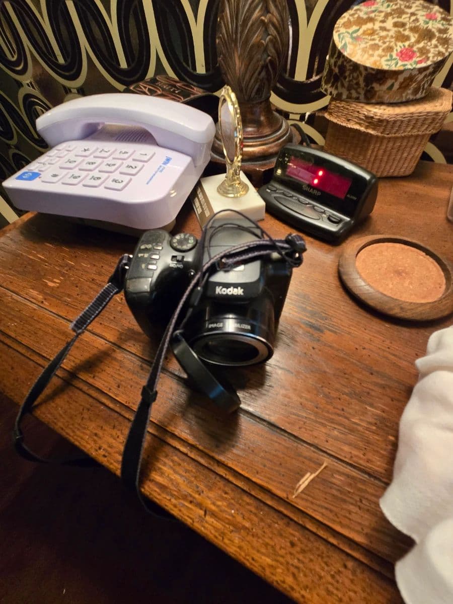 Treasure Hunt in Brookhaven photo 11