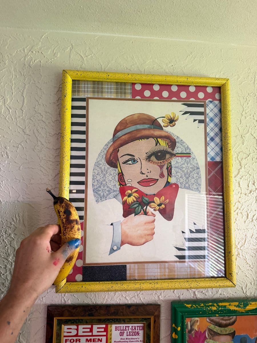 Vintage hidden gem!!! Pop art, plants, MCM, Vintage, clothes, furniture, vinyl, decor. photo 11