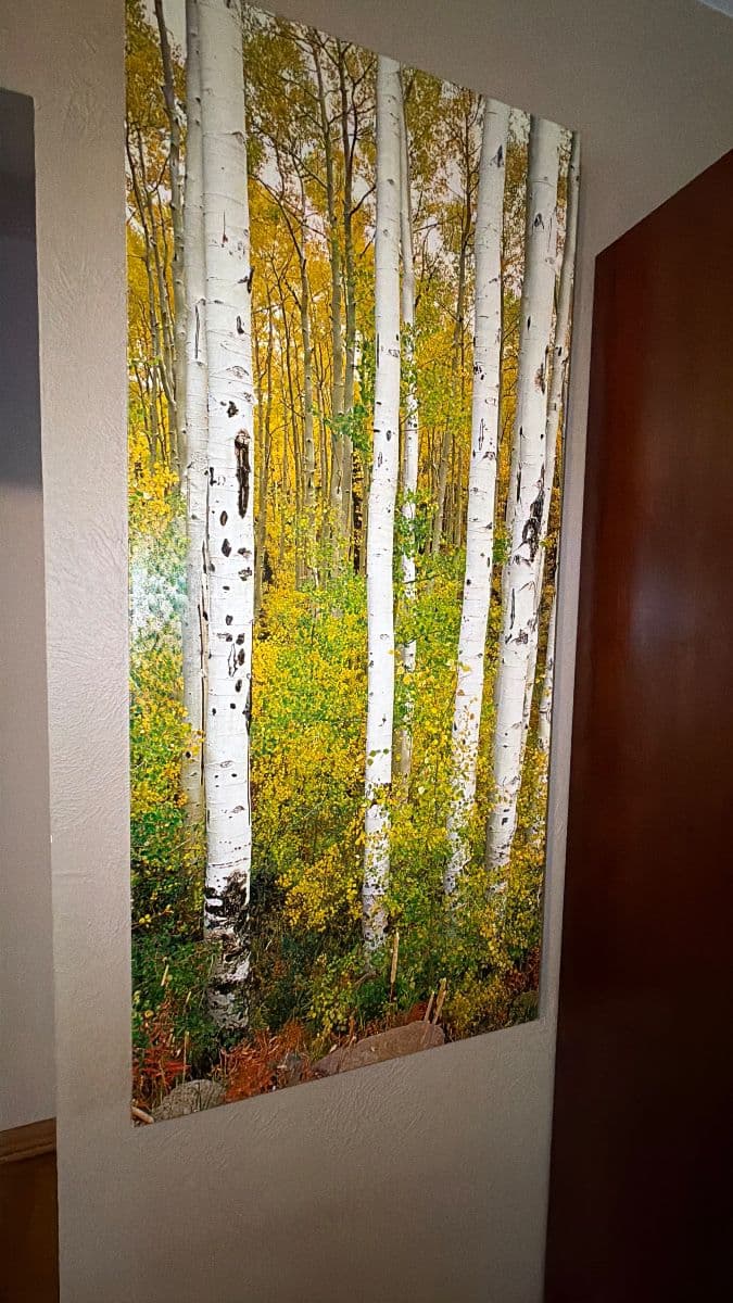 Grasons of Southwest Denver Presents Hybrid Colorado Lodge Estate Sale photo 8