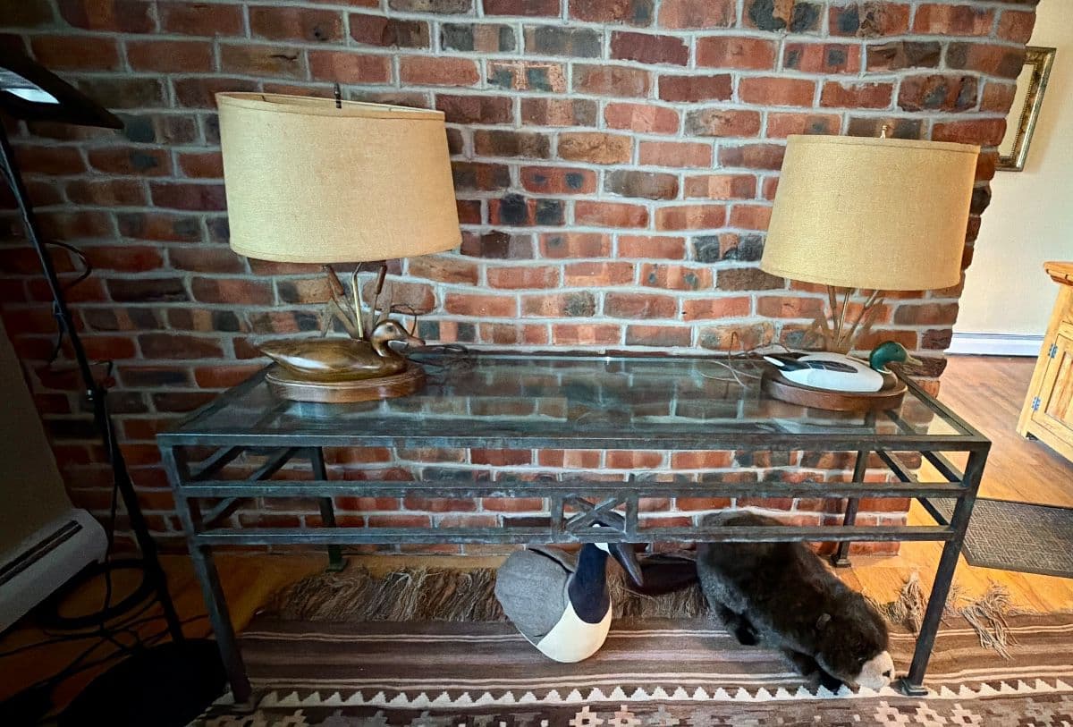 Grasons of Southwest Denver Presents Hybrid Colorado Lodge Estate Sale photo 3