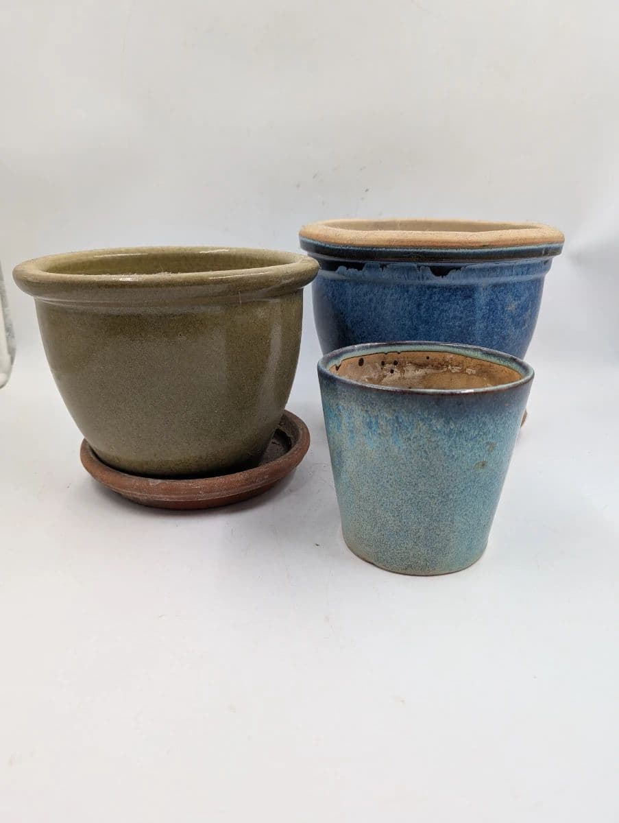 From Patio to Pearls: An Estate Full of Finds photo 9