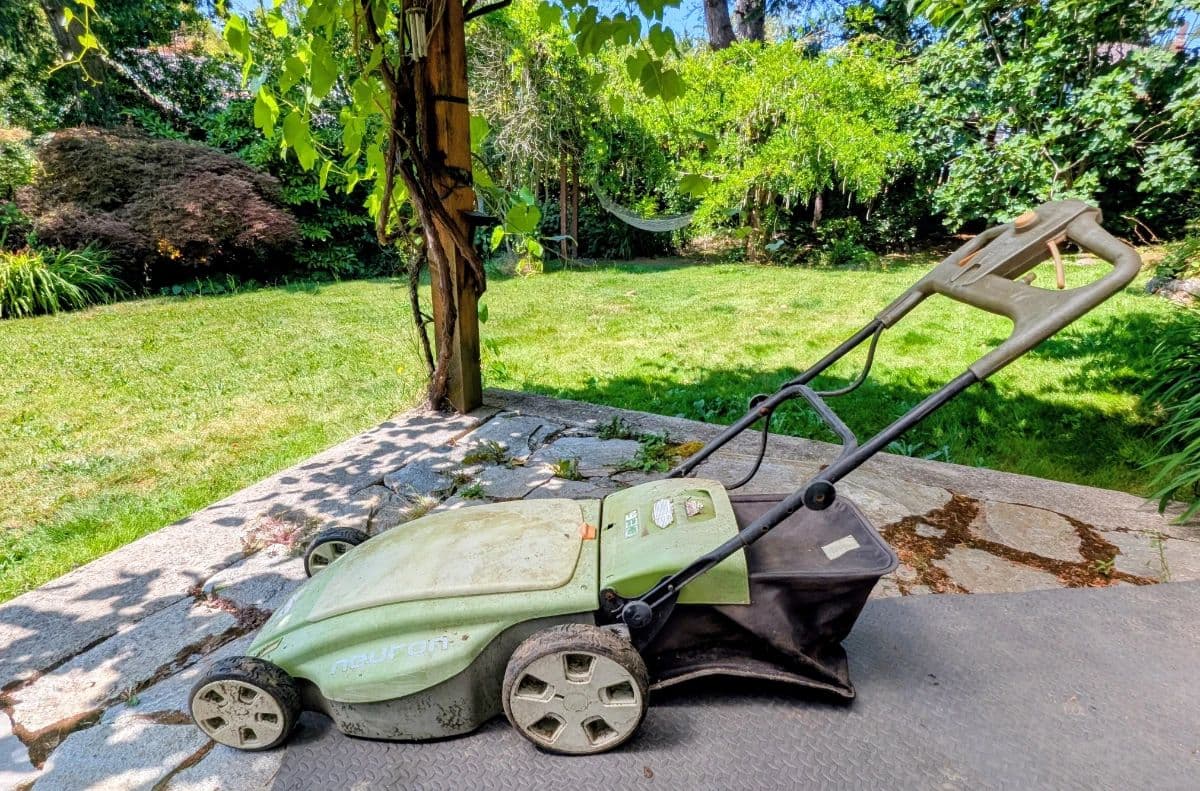 From Patio to Pearls: An Estate Full of Finds photo 5