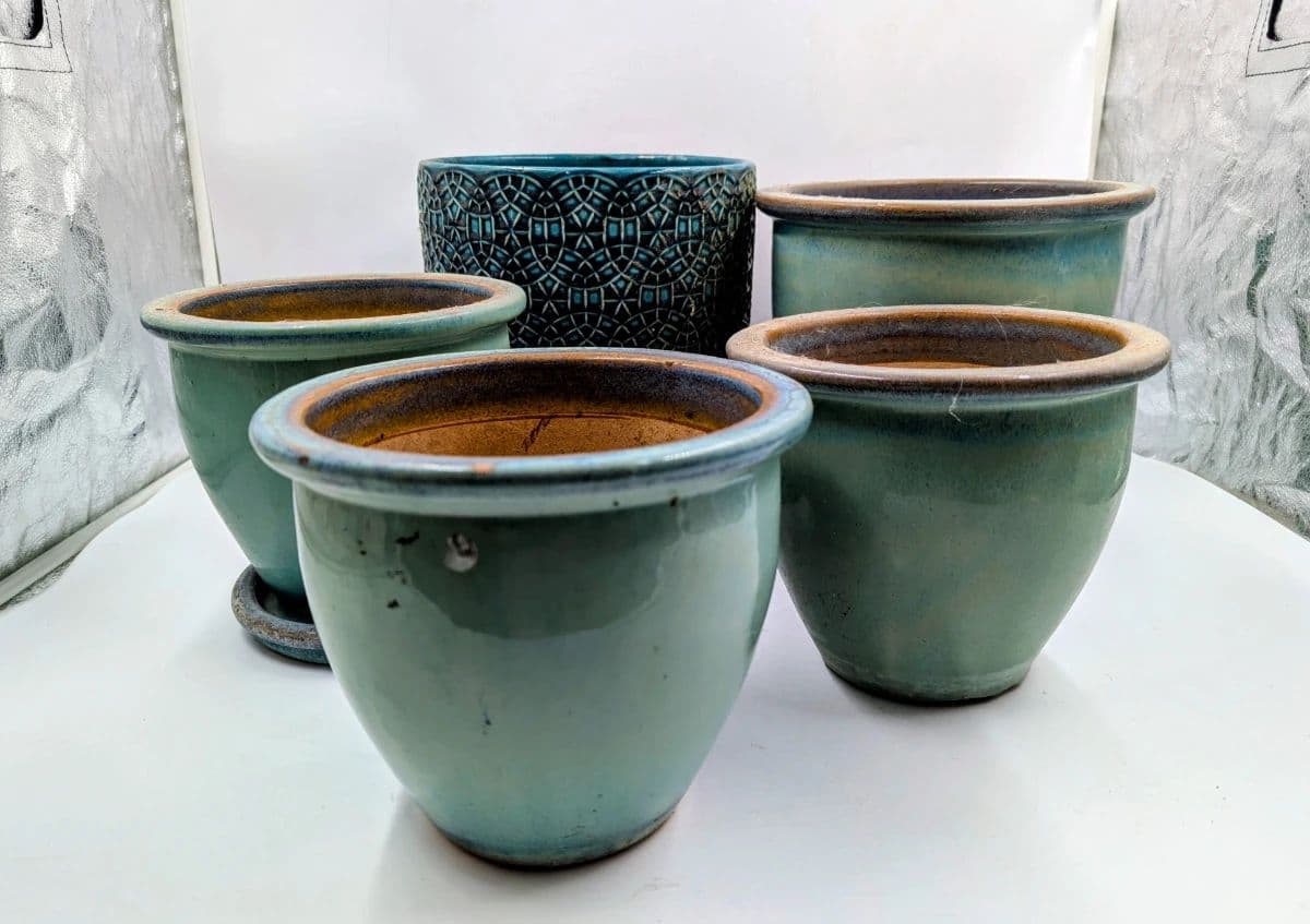 From Patio to Pearls: An Estate Full of Finds photo 8