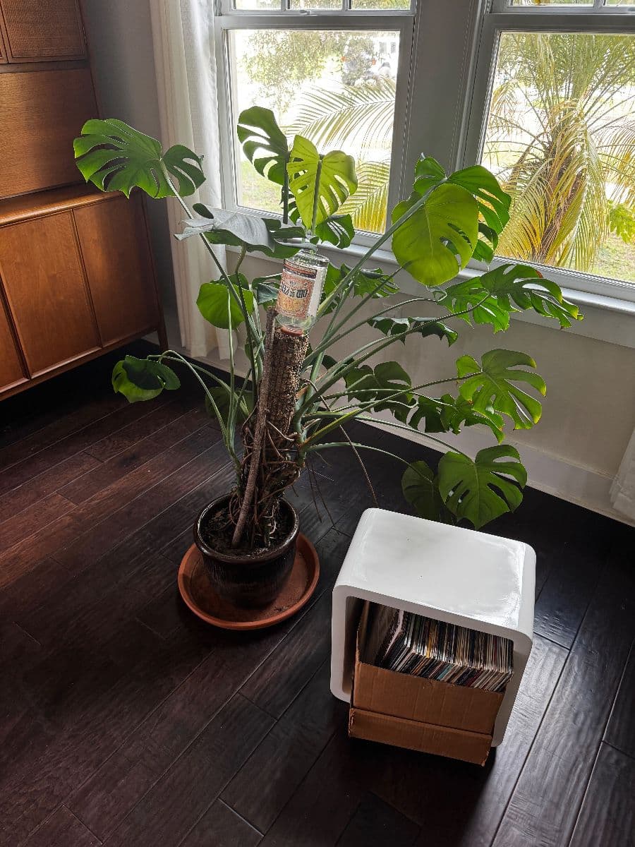 moving estate sale photo 7