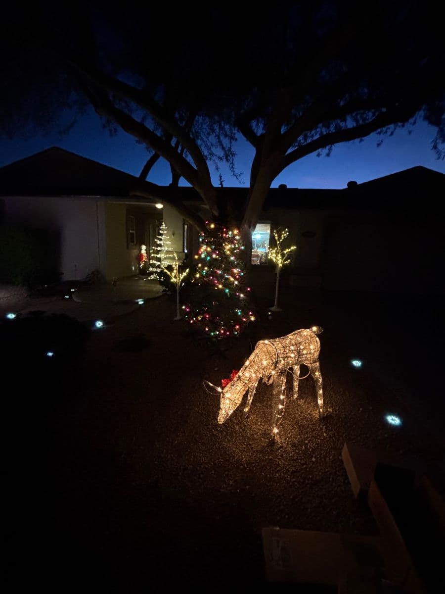 "Spooky, Santa & Sparkle" Join Forces Just For You. Don't Miss This Event! photo 11